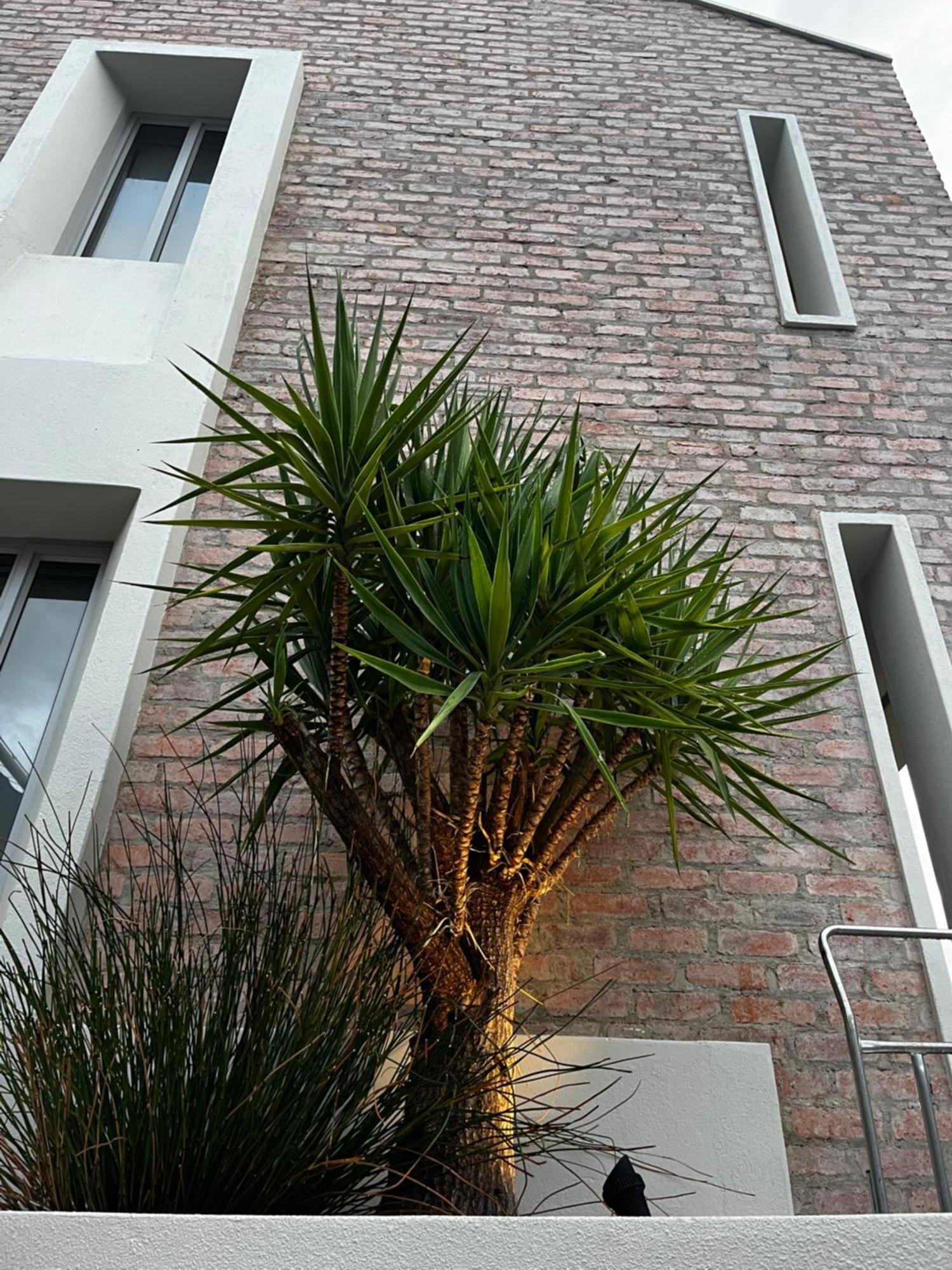 The Windhoek Luxury Suites エクステリア 写真