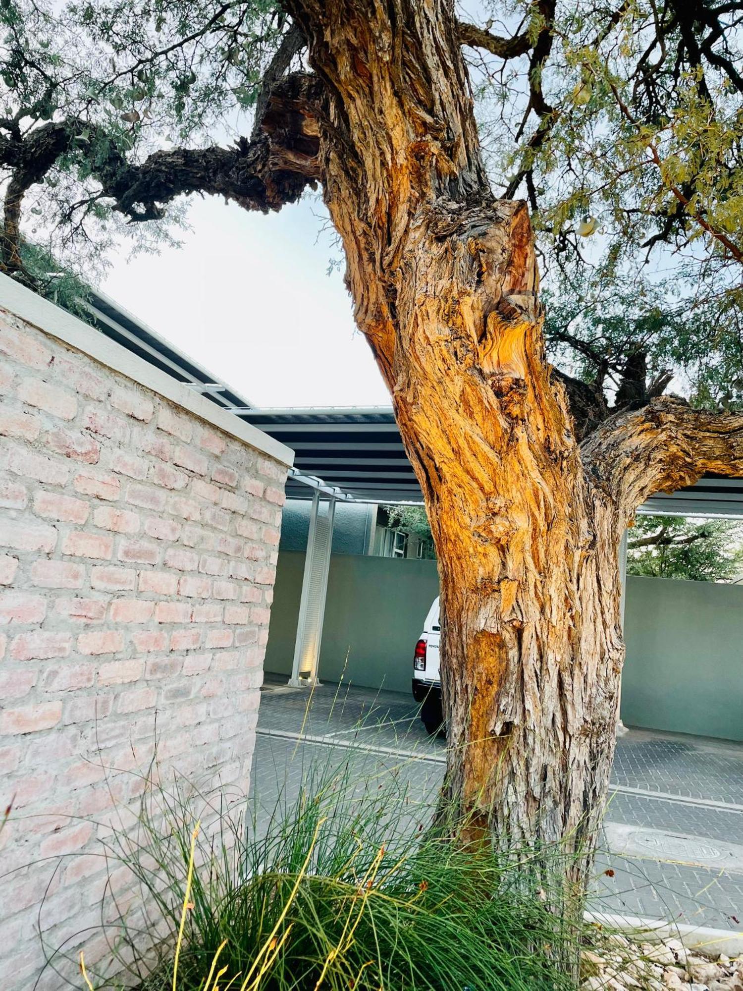 The Windhoek Luxury Suites エクステリア 写真