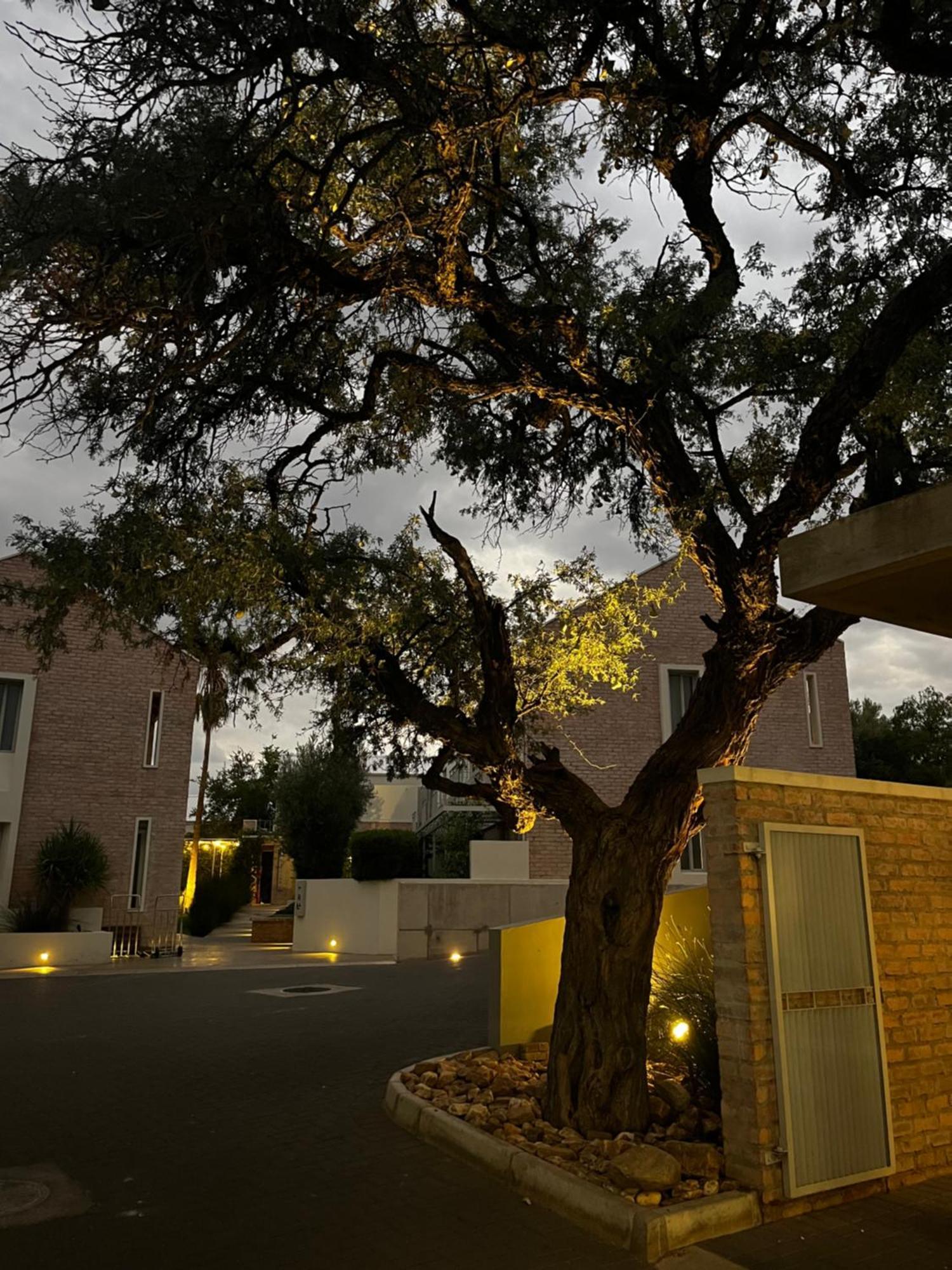 The Windhoek Luxury Suites エクステリア 写真