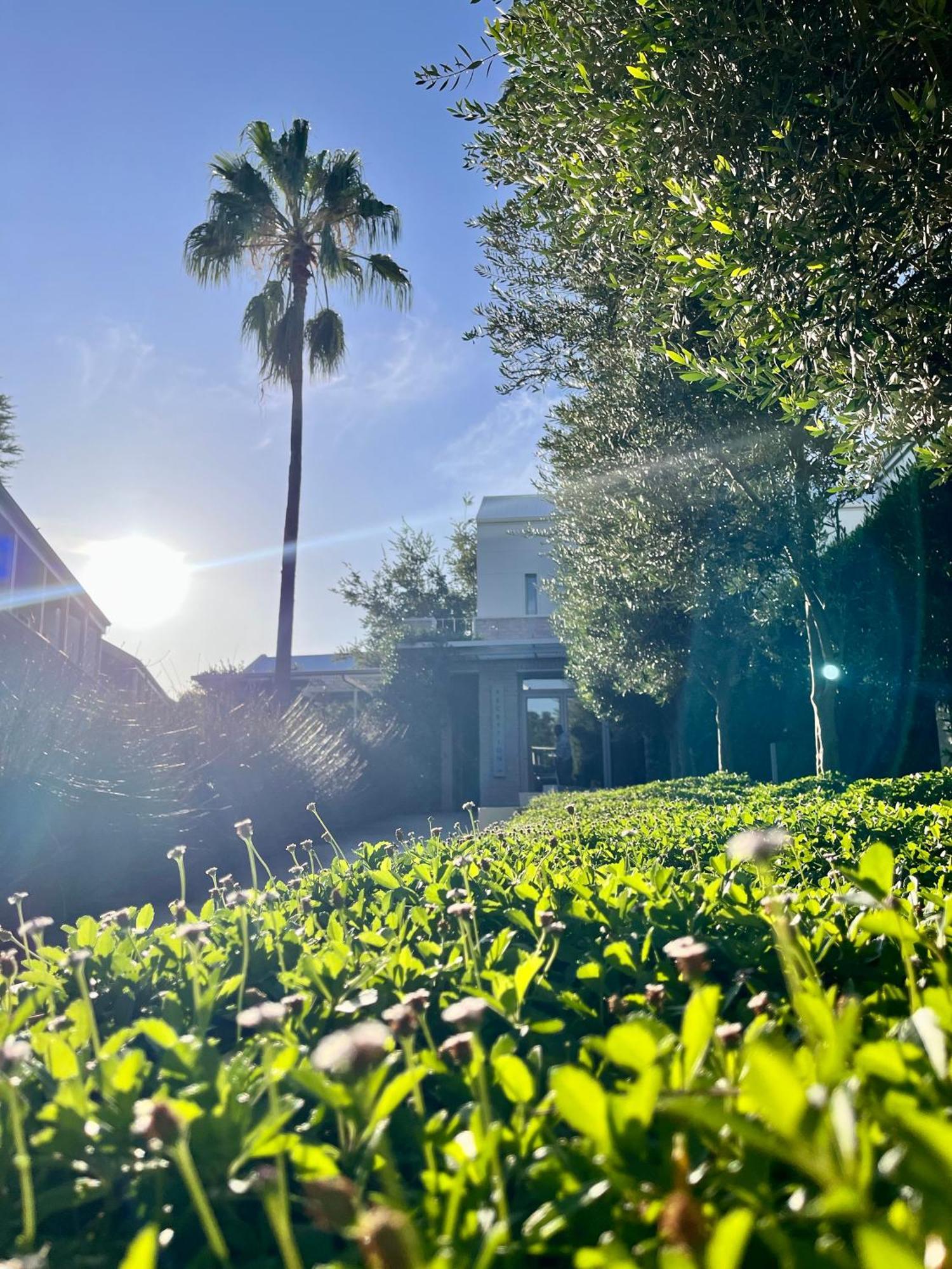 The Windhoek Luxury Suites エクステリア 写真
