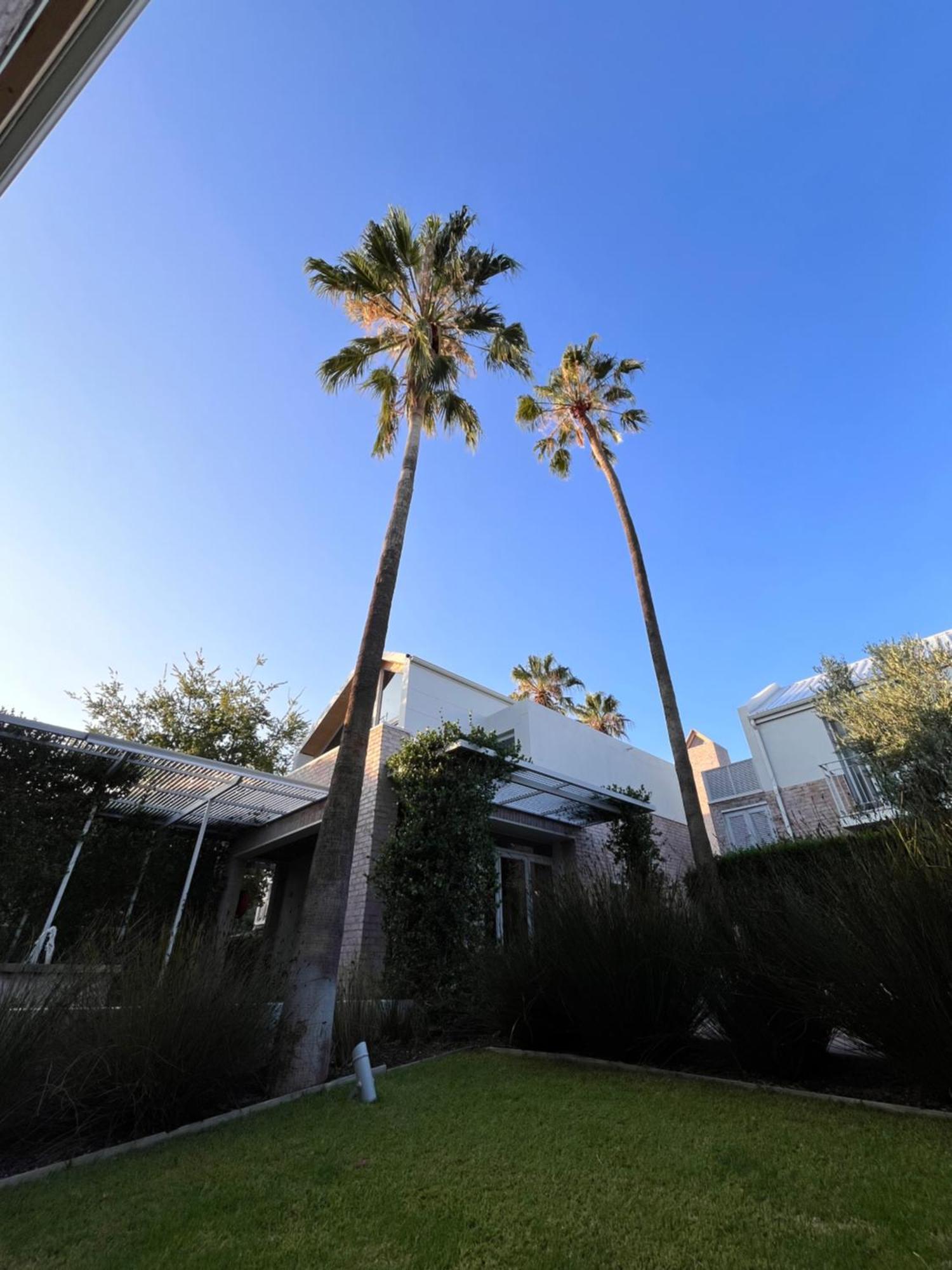 The Windhoek Luxury Suites エクステリア 写真